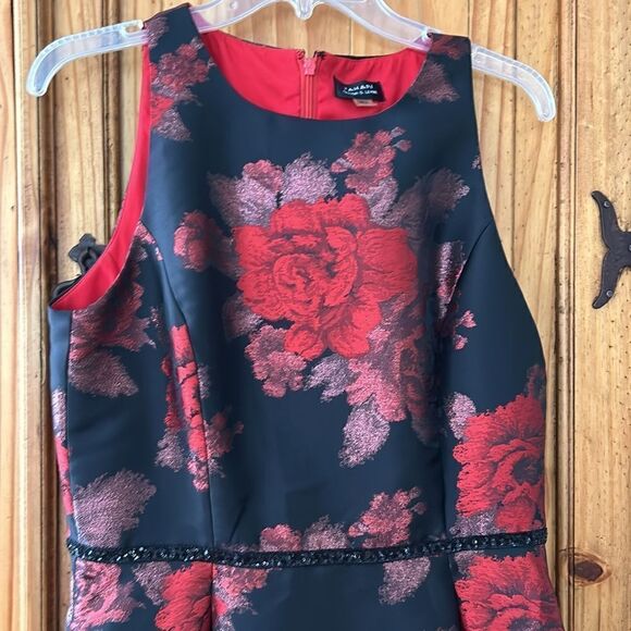 Tahari Arthur Levine Special Occasion Dress - Picture 2 of 8